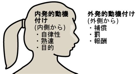 第10章 感情と動機付け .